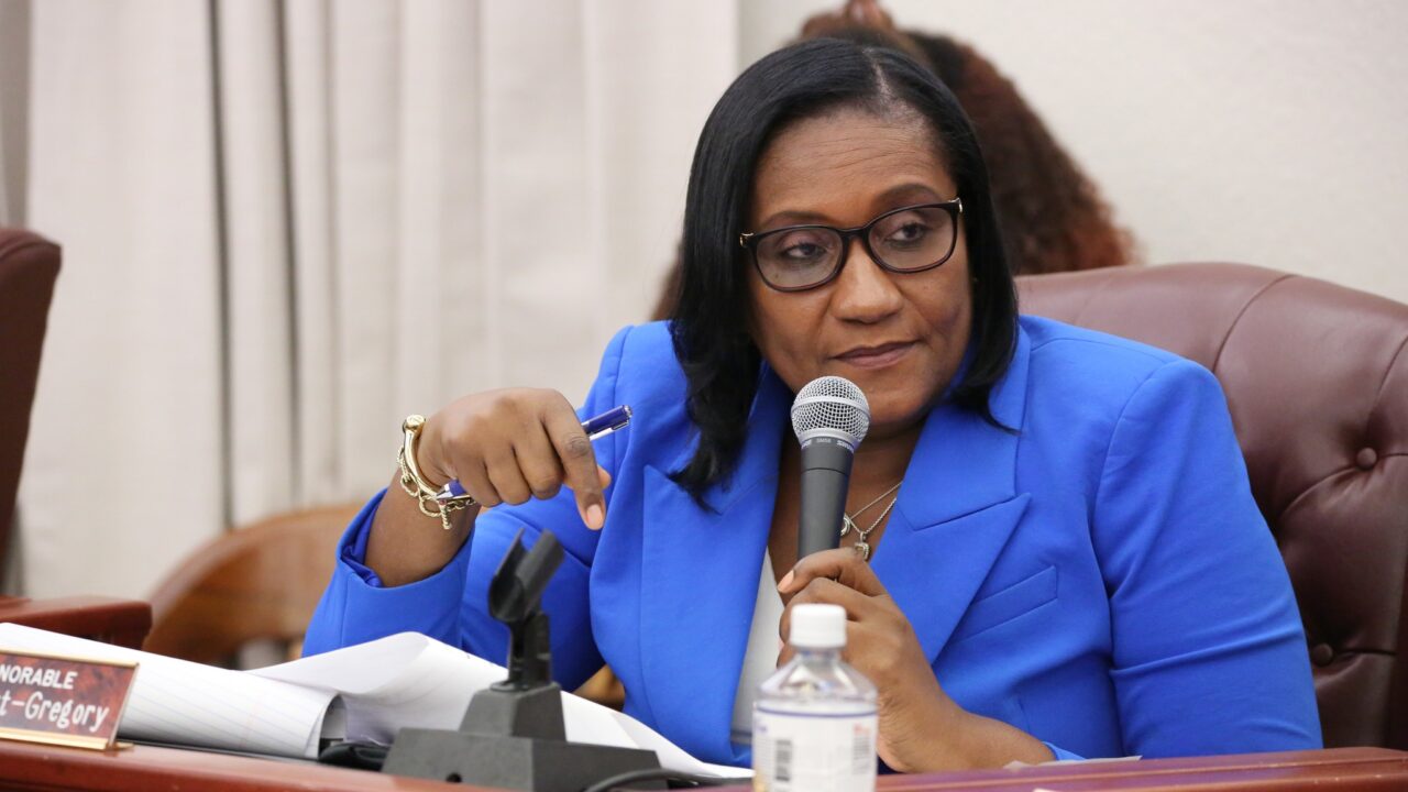 Senator Donna A. Frett-Gregory dismayed by the Governor’s Veto of Bill No. 35-0082